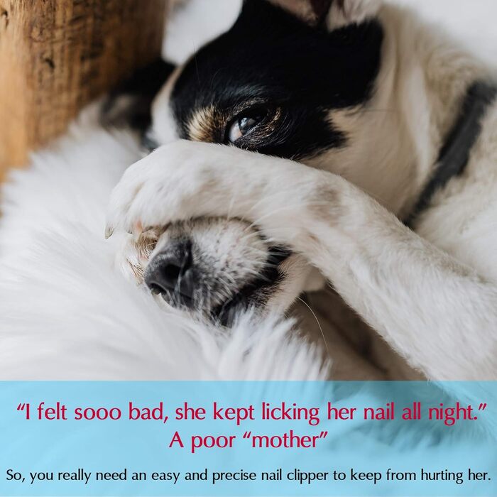 Набір для догляду за нігтями домашніх тварин 3-в-1: тример, пилка, гребінець. Підходить для собак та котів будь-якого розміру. З нержавіючої сталі, професійний, портативний