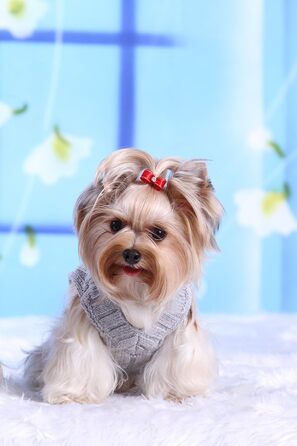 Пуловер для собак Doggy Dolly W073, сірий, зимовий, розмір L (46-48см груди, 31-33см спина)