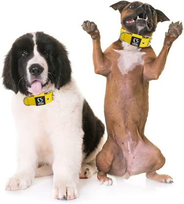 Тактичне обгортання для собак TSPRO, міцне обгортання з металевою застібкою, ширина 3,8 см, регульоване та товсте для середніх та великих собак (Жовтий M), розмір M-H (регульоване 40-48 см), Жовтий