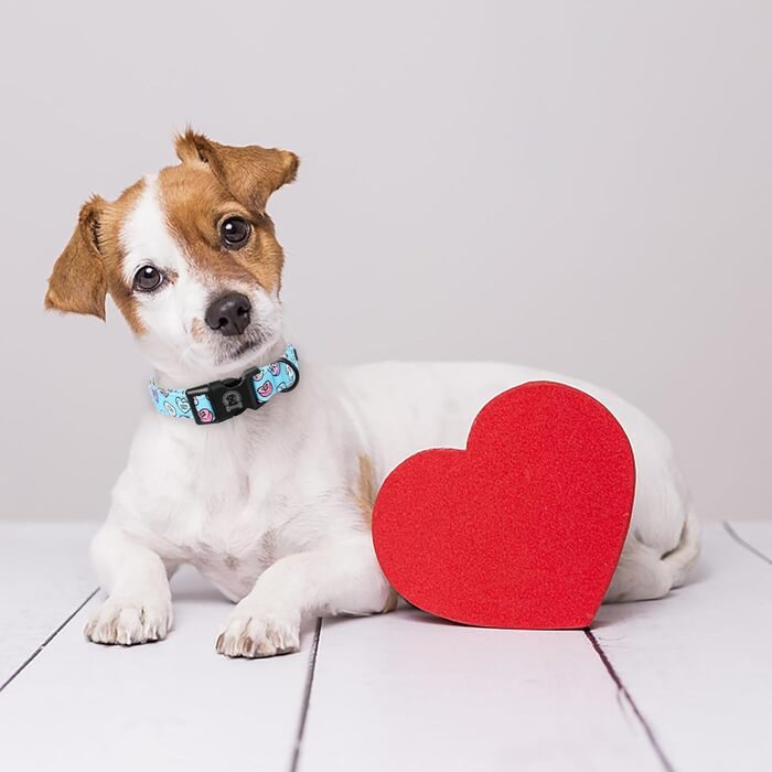 Собачий нашийник до Дня Валентина MR. CHUBBYFACE Blue Love, милий для хлопчиків і дівчаток, для малих, середніх і великих собак