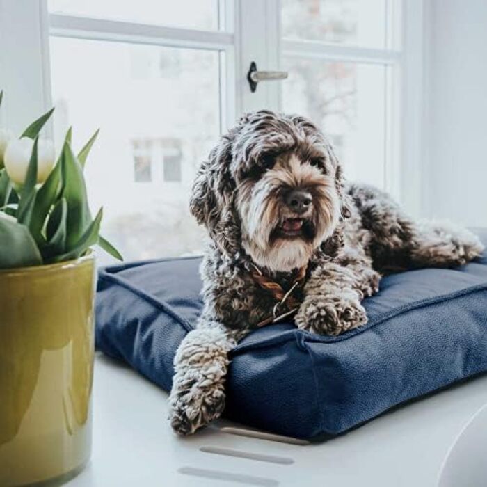 Ортопедична подушка для собак HUNTER Merida, колір оливковий, розмір M, Royalblau