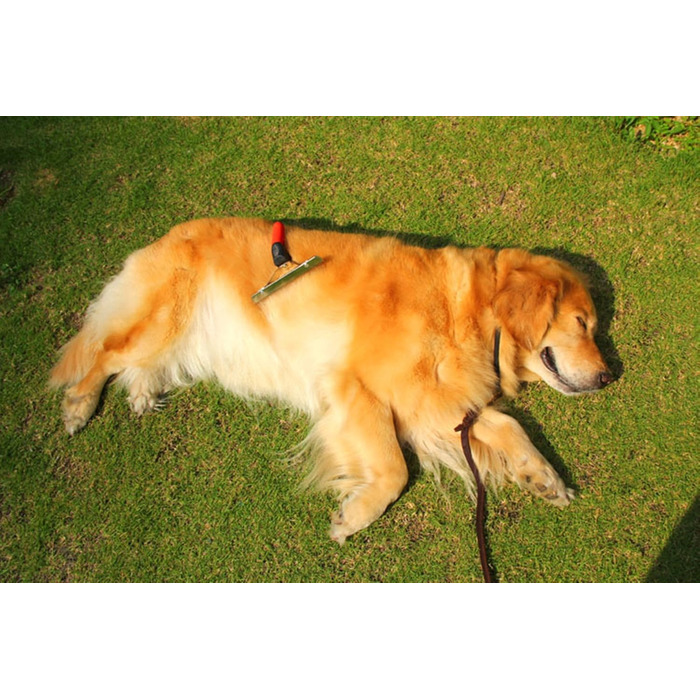 Гребінець для собак великих порід, видалення шерсті, догляд за шерстю, для Golden Retriever, Husky, Німецької вівчарки