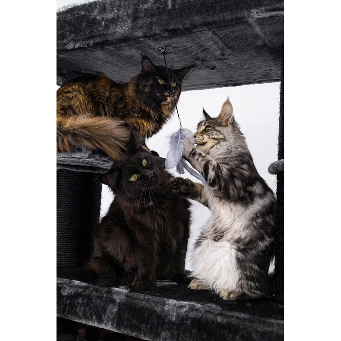 Дерев'яний кігтеточка для великих котів Petrebels Maine Coon XXL Lookout 198, надміцний, стовпи 15 см Ø, 100x60x198 см, чорний
