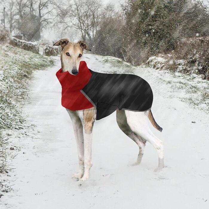 Водонепроникний зимовий теплий одяг для породистих собак Віндгаунд, Салукі, Вів'єта (Чорний, L)