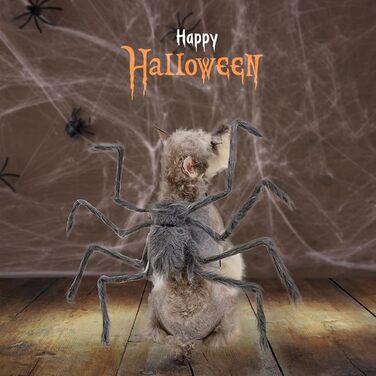 Костюм Павука на Хелловін для собак BAMY, кумедний аксесуар, сірий колір, косплей для домашніх тварин, розмір S (обхват грудей 30–41,9 см)