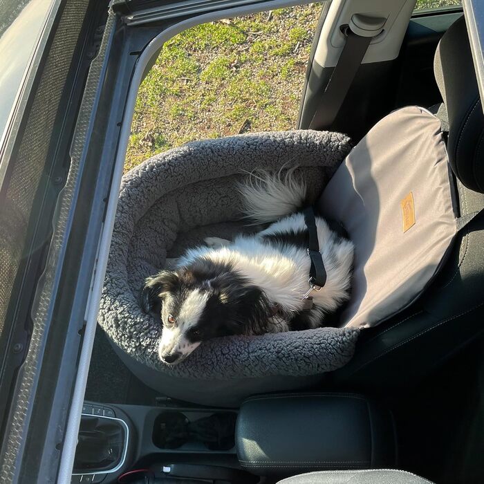 Автокрісло для собак GEAR Frontera – ортопедичне ліжко/кошик для собак, з ременем безпеки, знімний чохол, для маленьких та середніх собак, на передні та задні сидіння, з м'якого тедді