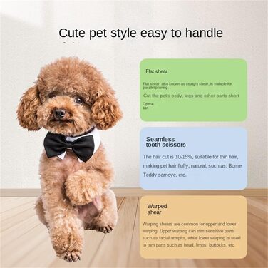 Набір для стрижки собак: 4 інструменти (пряма, вигнута, проріджуюча), шкіряна сумка. Підходить для тіла, морди, вух, хвоста.