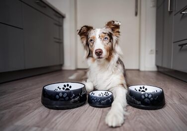 Миска для собак Elropet: маленькі та великі породи, нековзна, 330 мл (чорна)