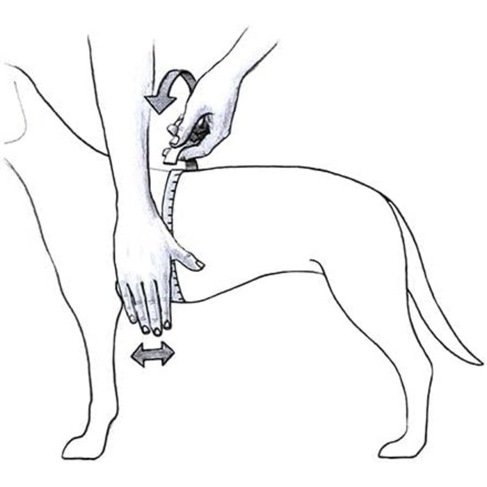 Шлейка для собак K9, розмір L/1, червона