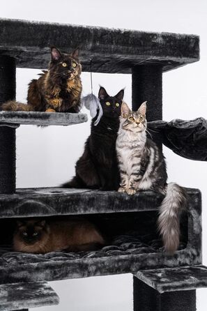 Дерев'яний кігтеточка для великих котів Petrebels Maine Coon XXL Lookout 198, надміцний, стовпи 15 см Ø, 100x60x198 см, чорний