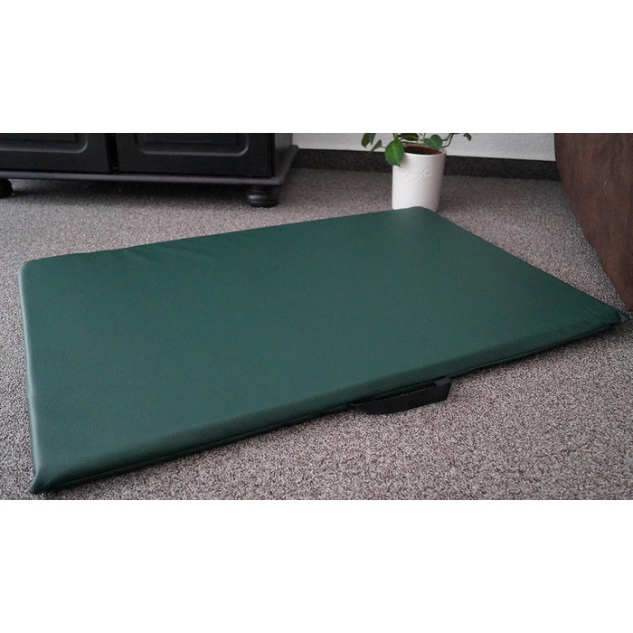 Килимок для собак, лежанка для тварин, двосторонній, штучна шкіра, пінопласт, 3 см (блакитний) блакитний (100 см X 70 см, зелений)