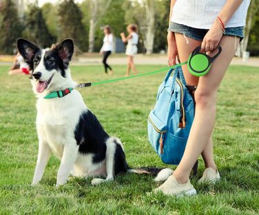 Витяжна повідка для собак середніх та великих порід до 45 кг Taglory, 5 м, зелений