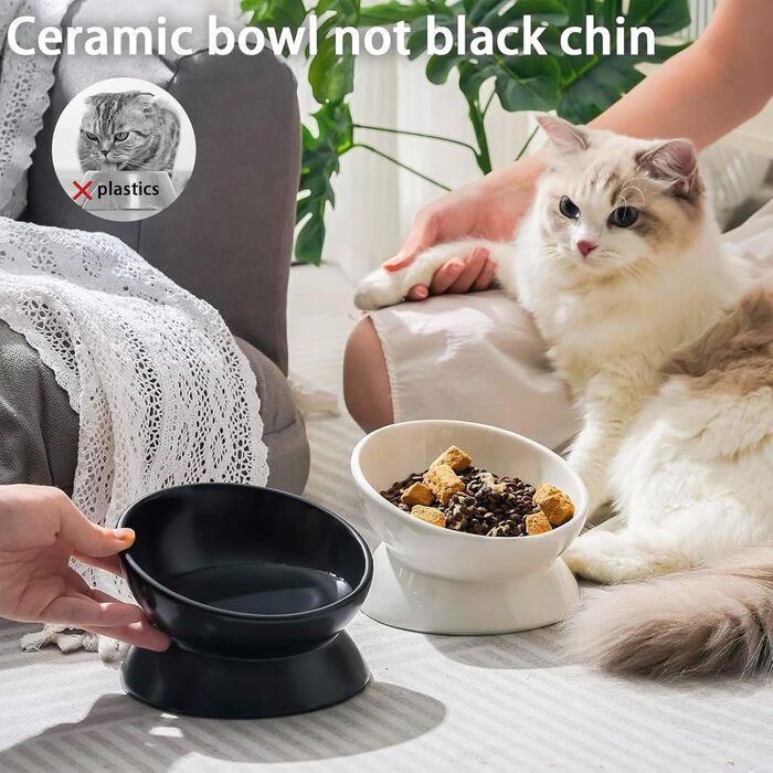 Підвищений годівниця для котів, кераміка, піднятий та нахилений годівниця, проти блювоти, без стресу, для котів та маленьких собак, 150 мл, чорний, 1 шт.