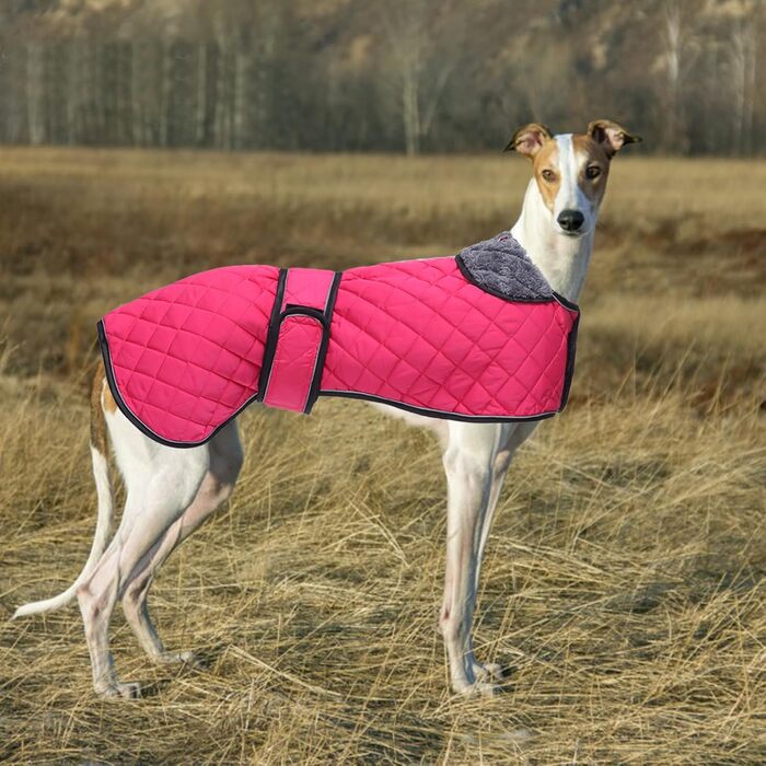 Водонепроникний теплий зимовий одяг для собак породи Віндгаунд, Уіппет, Лурчер. Зимова куртка для собак з флісовою підкладкою, регульована, для середніх та великих порід, темно-синій, розмір S (L(спина: 61-64 см))