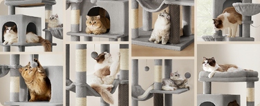 Високий когтеточка-комплекс Feandrea: ігровий центр з лежаком та стовпчиком для кігтів, 161 - 220 см