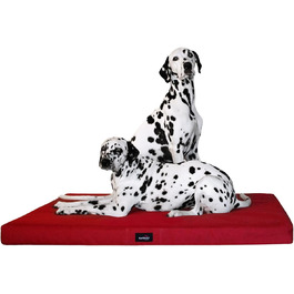 розмір: 120x90 см