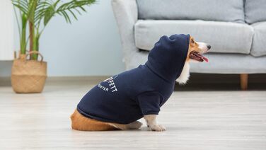 Худі для собак Star Wars Boba Fett, блакитний, розмір Small | Одяг для собак Star Wars | Зручний капюшонний світшот для собак, подарунок для фанатів Star Wars