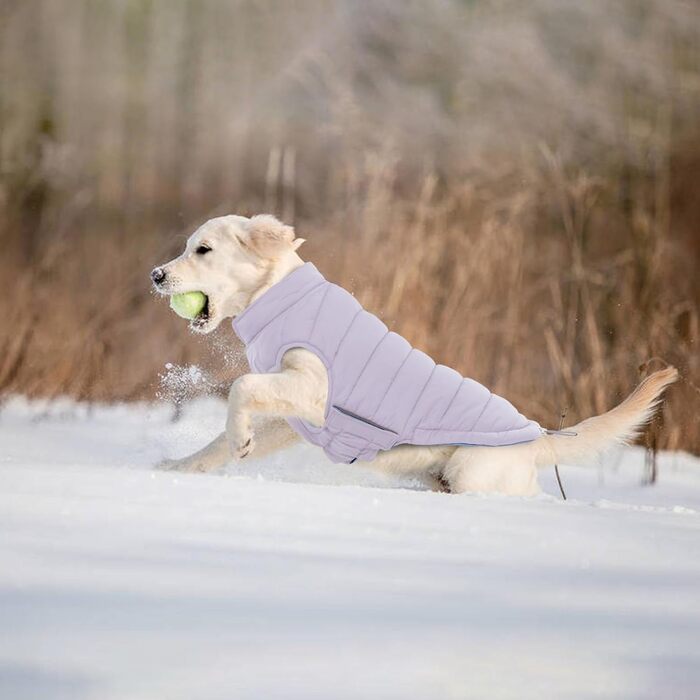 Водонепроникний та вітронепроникний зимовий теплий куртка для собак Lelepet, Puffer-жилет, для маленьких собак, Chihuahua, зелений, розмір 3XL, фіолетовий