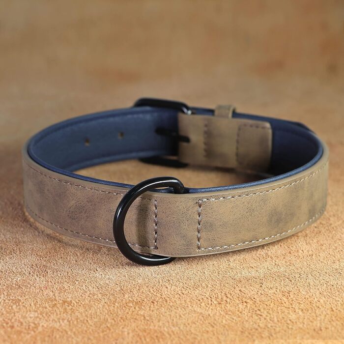 Шкільний нашийник для собак Didog: м'який, з підкладкою, зелений, L (33-43 см, 10-20 кг)