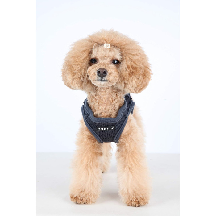 Шлейка для собак Puppia для малих та середніх порід - м'яка жилетка в багатьох кольорах. Можна використовувати як шлейку для цуценят. Антиріз шлейка для собак, сіра, розмір M, сірий колір