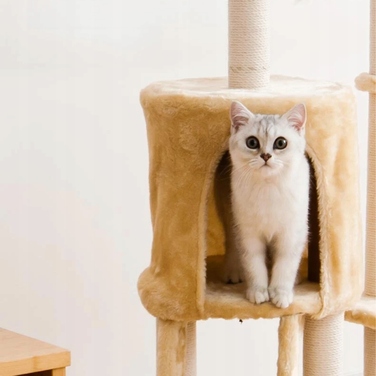 Високий багатоярусний когтеточка-комплекс для котів WERDANO PETS, 138 см, темно-сірий