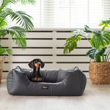 Ортопедичне ліжко для собак Eden, велике, середнє, маленьке - подушка для собак, килимок для собак з еко-шкіри + тканина Alcantara - зняття болю, стійке до зношування, міцне (XXL, сірий) XXL сірий