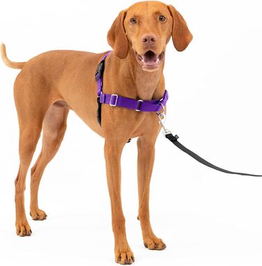 Шлея для собак PetSafe Easy Walk, анти-тяг, регульована