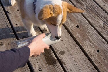 PETKIT Eversweet - Поїлка для собак 400мл, сіра, з PET матеріалу, для прогулянок