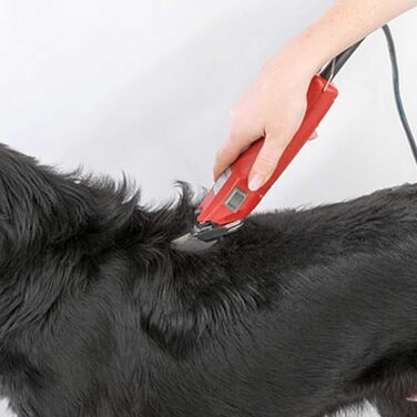 Професійний шерстьостригач Agrarzone Edition Aesculap Favorita Speed для собак та коней | Набір з насадкою | Потужний німецький тример для тварин