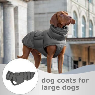 Зимовий теплий одяг для собак - куртка з поліестеру, 75 см | Тепла верхня одяг для собак маленьких, середніх та великих порід, стійка до холоду, модний одяг для активного відпочинку | Зимовий одяг для собак