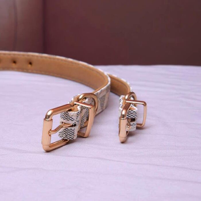 Нашийник для собак та котів Viwind з м'якої шкіри, регульований, повідковий комплект (1.5/2см), білий