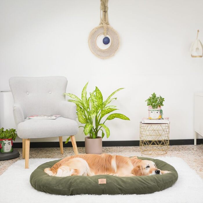 Лежанка для собак та котів Ferplast Relax Microfleece, 55x36 см та 100x63x11 см, сіра, м'яка, з мікрофлісу, для комфортного відпочинку