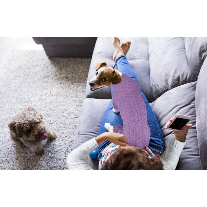 Вовняний пуловер для собак з коміром-горловиною, однотонний, теплий, для цуценят та собак середніх розмірів (зелений та фіолетовий, розміри S/M та L)