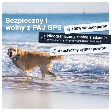 GPS-трекер для собак PAJ 4G Mini з функцією Alarm Strefy та підпискою на 2 роки