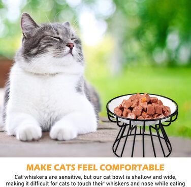 Набір з 2 керамічних годівниць для котів на підставці, підняті миски для кошенят та цуценят