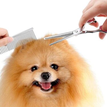 Набір професійних інструментів для грумінгу собак та котів, 7 дюймів, нержавіюча сталь