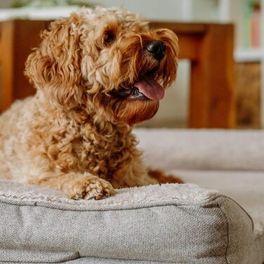 Ортопедичний кутовий диван Nobby CALBU бежевий 100 x 65 x 19 см