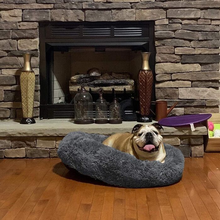 Кругле собаче ліжко ZINN, м'яке, миється, для великих собак, розмір M (діаметр 70 см), темно-сірий