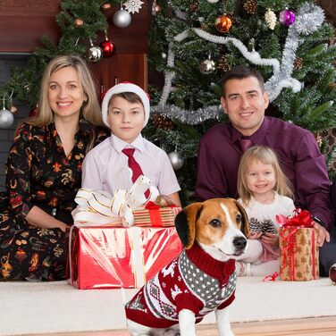 Пуловери для собак та котів на Новий рік, костюми для маленьких собак, 2 шт.