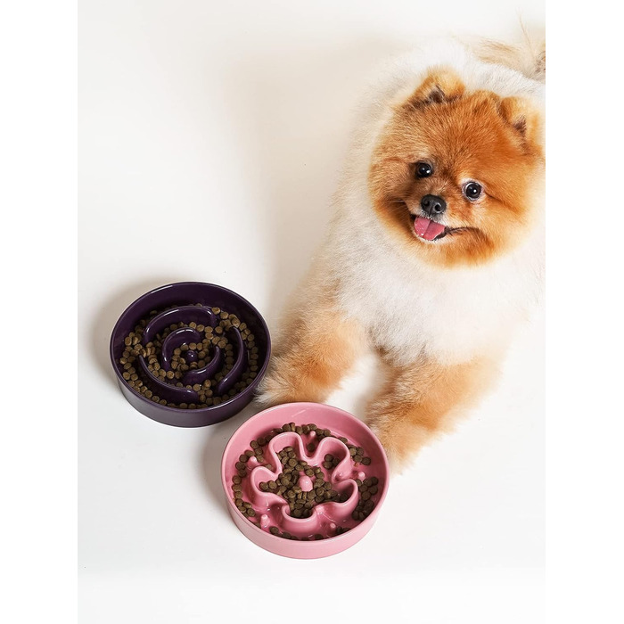 Таця для собак LE TAUCI з кераміки, антислизька таця для середніх та маленьких собак, повільне годування та розваги, таця для їжі з неслизьким дизайном (Лабіринт, фіолетовий, S-350 мл)
