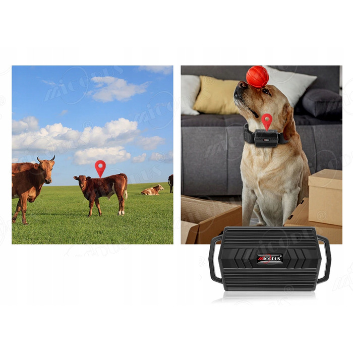 GPS-нашийник-трекер TK935 для тварин (собак і котів) з функцією SOS та мобільним додатком