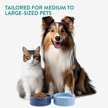 Набір мисок для собак Navaris 2 шт. з кераміки - підходять для мікрохвильовки та мийки посуду - миски для води та корму для собак чорного та білого кольорів - великий об'єм 700 мл Чорний Білий (блакитний)