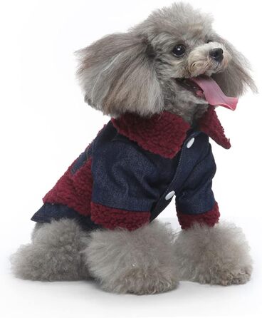 Зимовий теплий водонепроникний одяг для собак Eringogo (L, Multi) - для прогулянок та фотосесій