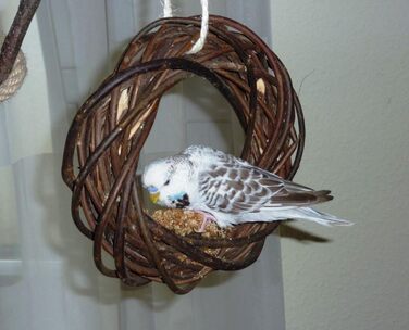 Дерев'яний іграшковий кілечко з лози для птахів (волинки, корели та ін.); Vogelgaleria®