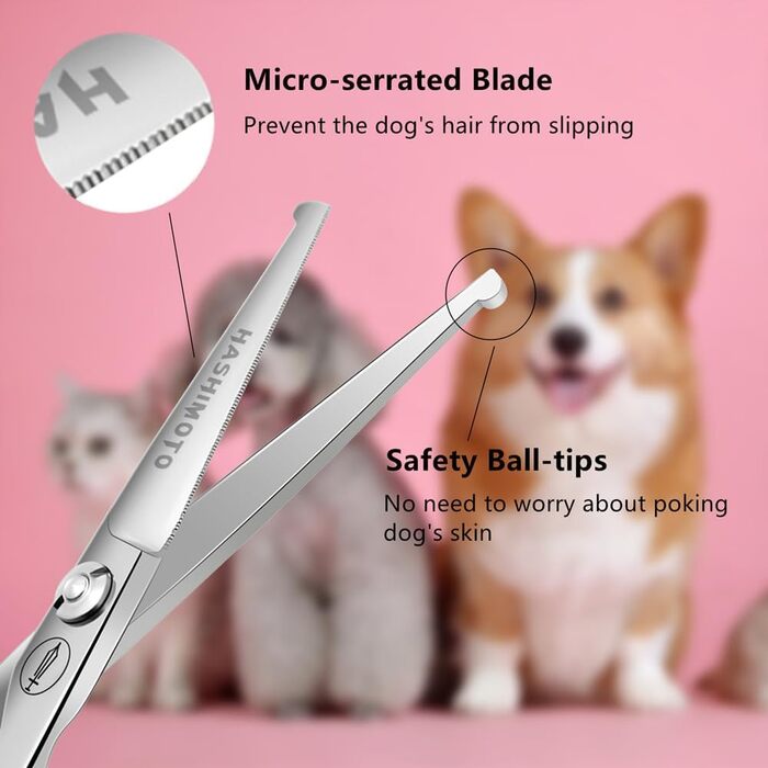 Ножиці для грумінгу собак Хашімото, 13 см, прямі леза з мікрозубом, для догляду за очима, вухами, носом та лапами