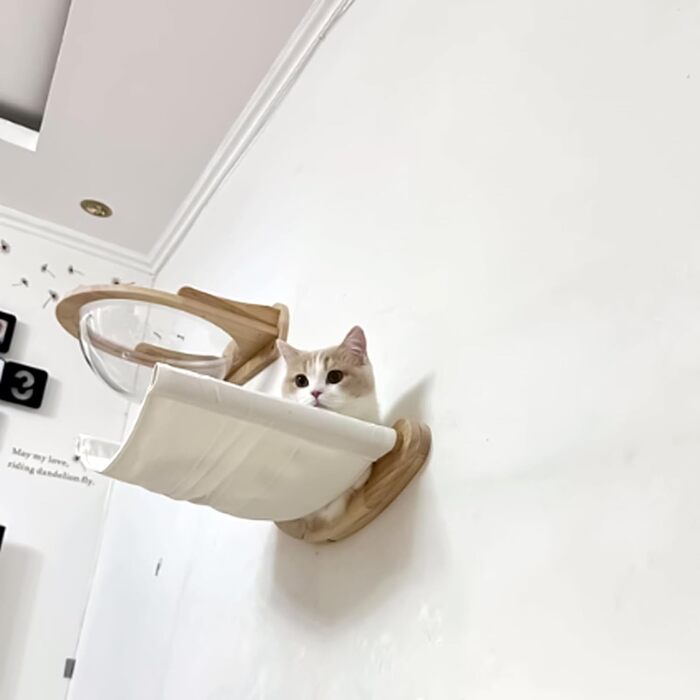 Кішка Wandregale (стійка) Katze Wandhängematte (гамак) Katze Wandbett (ліжко) Katze Wandmöbel (меблі) для котів - для лазіння та відпочинку
