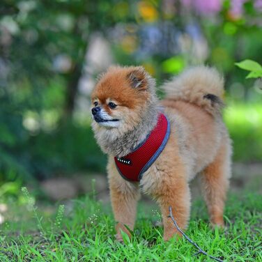 М'яке собаче нашийник Puppia Soft Harness II - для маленьких та середніх собак, регульований, винний колір, розмір M