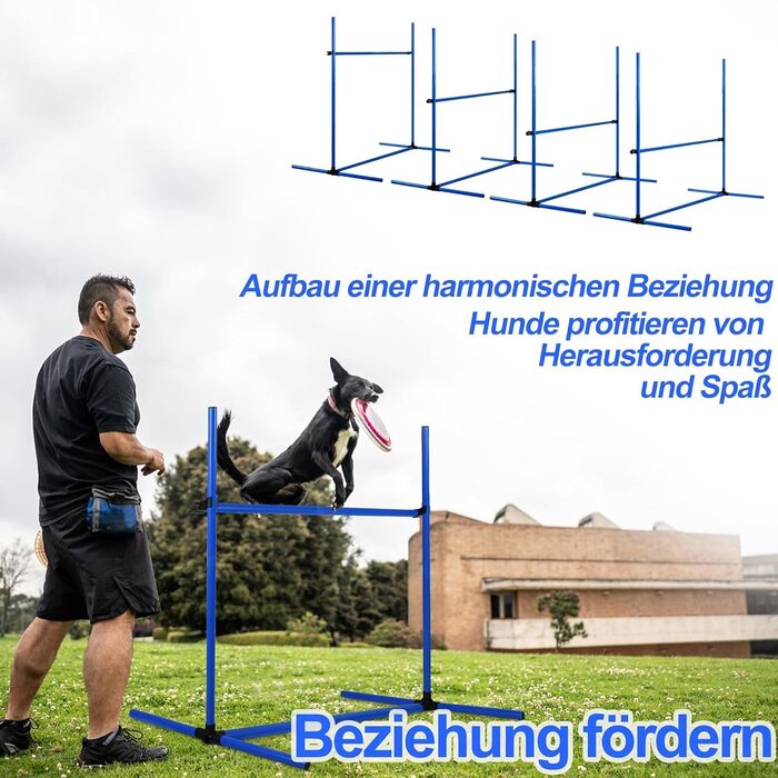 Набір для аджиліті для собак ORHEYA: 4 переносні бар'єри, регульована висота, 104x70x101 см, білий (блакитний)