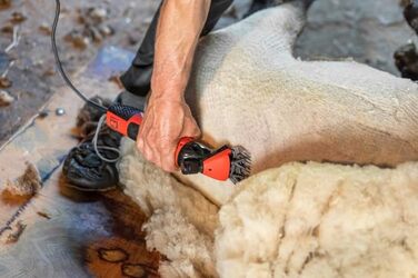 Машина для стрижки овець Kerbl FarmClipper Profi, 6-ступінчаста, 350W