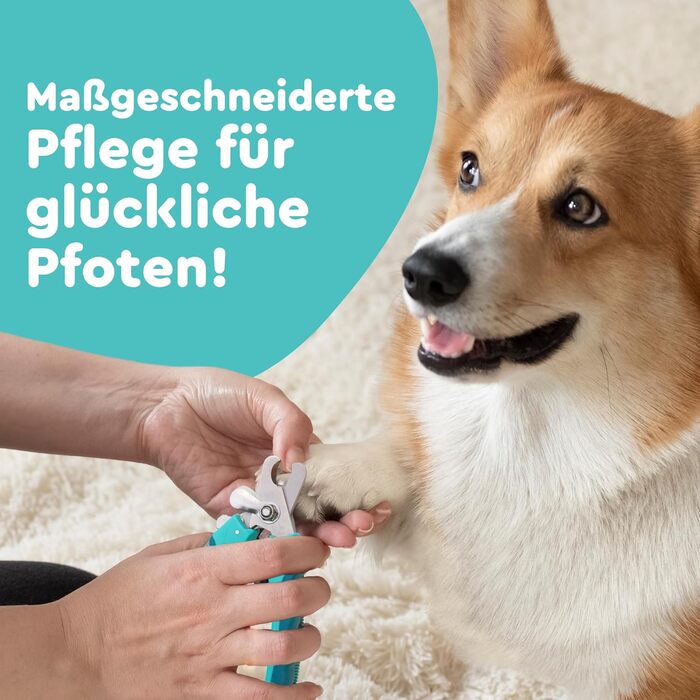 Ножиці для стрижки кігтів собак та котів COARO з захистом від травм - з фіксатором та професійною пилочкою, нержавіюча сталь